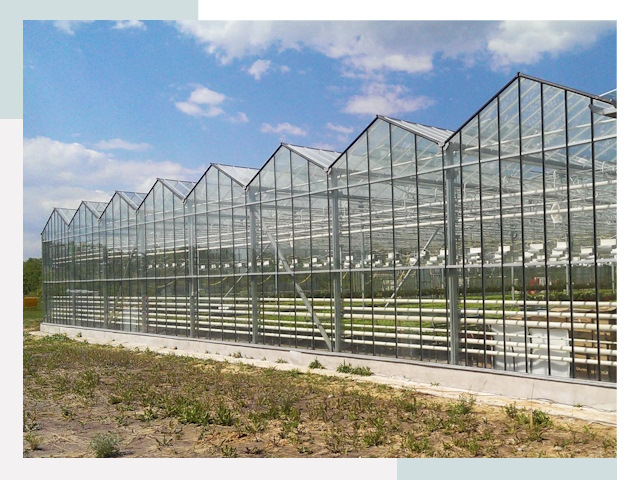 Строительство теплиц в Вичуга от 610 руб. за м²