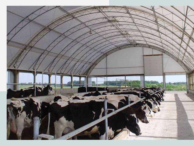 Тентовые коровники в Вичуге